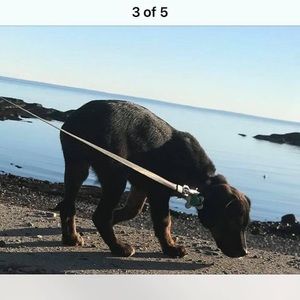 Meet your Posher, Glenn